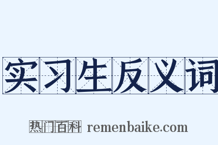 实习生反义词是什么意思的图片